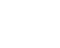 IBRO 2024